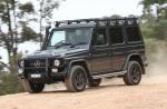 Mercedes-Benz G300 CDI Professional 2017 года (AU)